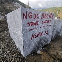 Aswin AS logo