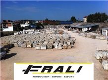 Frali LTD logo