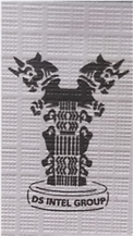 DS Intel Group logo