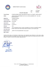 Business license