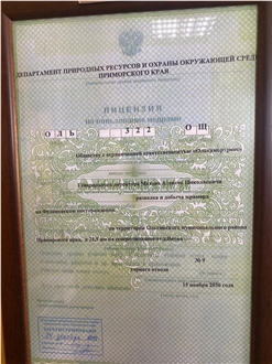 Business license