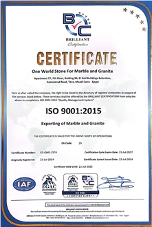 Iso 9001