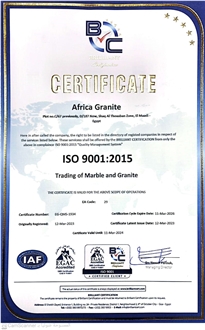 ISO 9001