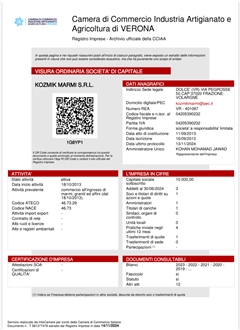 Business license