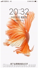 Trade license