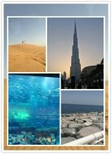 Middle East Stone 2017
