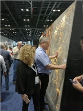 Coverings 2017