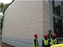 StoneVic Ivy (Salesperson) contact people