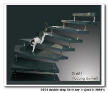G654 Padang Dark double steps in Germany 2008