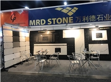 The International Surface Event 2019