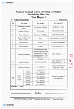 Test Report