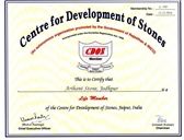Central for Development of Stone