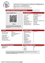 Business license