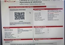 Business license