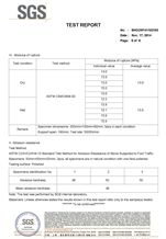 Test Report