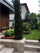 Bulgaria Project 2019