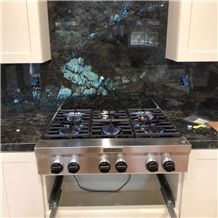Home Owner Project 2017