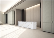 Quartz countertop 2021