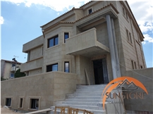 Sunny Menia Project 2020