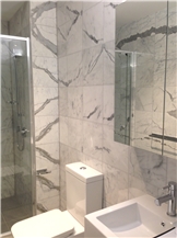 Residential Bathroom Statuarietto Marble 2013