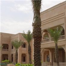 Dar-El-Salwa 2002
