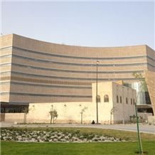 Sidra Medical and Research Center Project 2012
