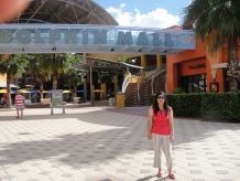 Dolphin Mall 2012