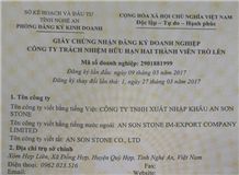 Business license
