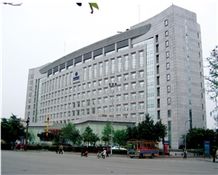 Mobile Communication Building  2009