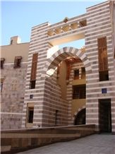 American University in Cairo 2007