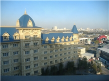 Tokyo Disney Hotel 2009