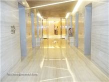 Grey Wood Vein Marble  