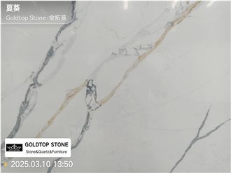 Striking Paonazzo Extra Quartz Slabs