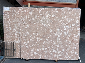 Shells Reef Pink Limestone Slabs