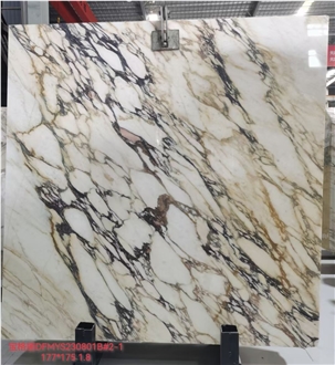 Calacatta Viola Polished Marble Tiles High End Appeal