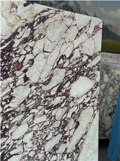 Natural Calacatta Viola Marble Slabs Elegant Texture