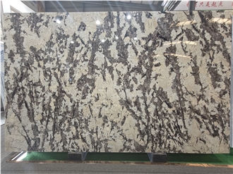 Customizable Splendor White Granite Natural Stone Slabs