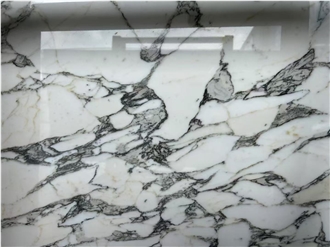 Italian Arabescato Corchia Marble Slabs For Wall & Floor