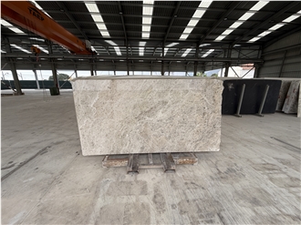 Beige Snake Marble Slabs