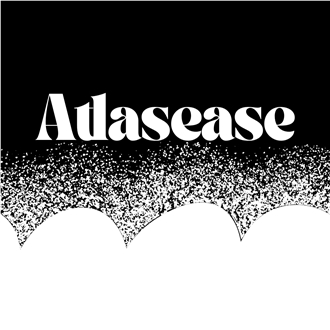 Atlasease Exports Private Limited logo