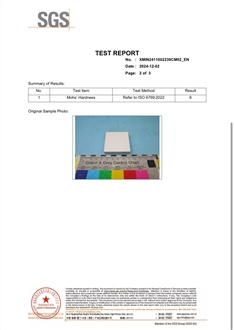 SGS Test Report