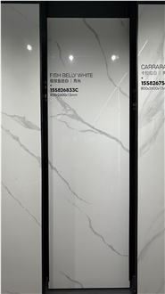 FISH BELLY Dolomite Polished 15Mm Porcelain Tiles