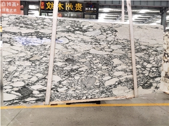 Arabescato Corchia Marble Elegance Slabs Tiles