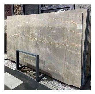 Picasso Gold Marble Slabs