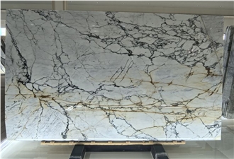 Calacatta Paonazzo Bianco Marble Slabs