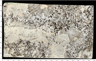 Patagonia Quartzite Feature Wall Stone High-End Style