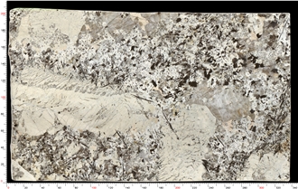 Patagonia Quartzite Slabs Custom Cut Stone Panels