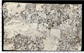 Patagonia Quartzite Slabs Dazzling Translucency Luxe Elegance