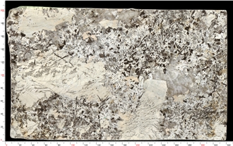 Patagonia Quartzite Slabs Distinctive Grain Robust Durability