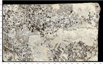 Patagonia Quartzite Slabs Lasting Beauty Neutral Tones